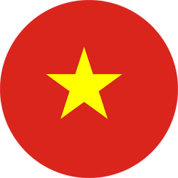 vn